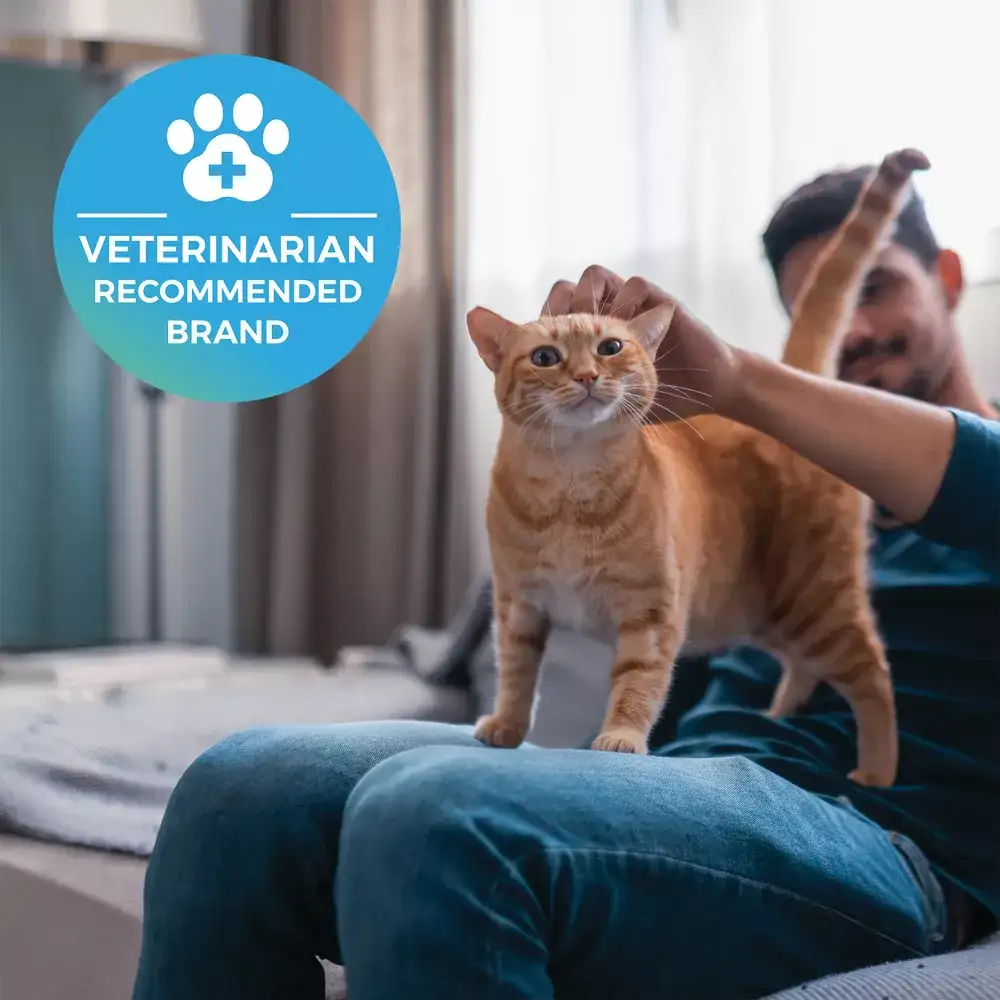 A man petting an orange cat in a living room, a badge with the words "Veterinarian recommended brand" in the corner