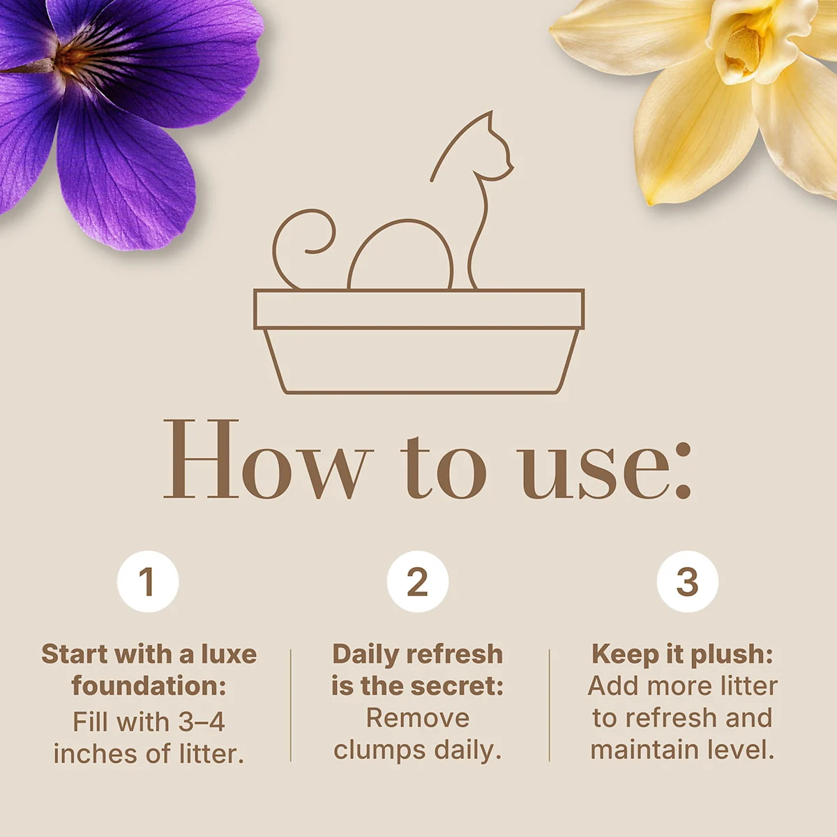 How to use cat litter: fill 3–4 inches, remove clumps daily and add litter as needed