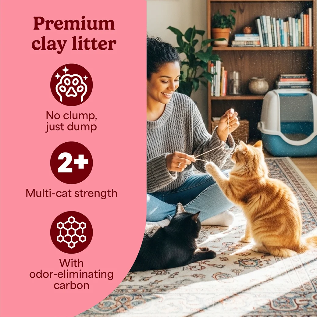 A woman playing with her cat. A pink panel on the right side with claims: no clump just dump, multi-cat strength, odor eliminating carbon