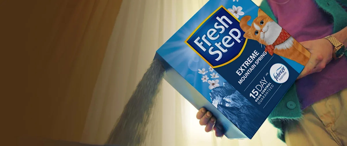 A person pouring cat litter from a box of Fresh Step Extreme Mountain Spring scent cat litter