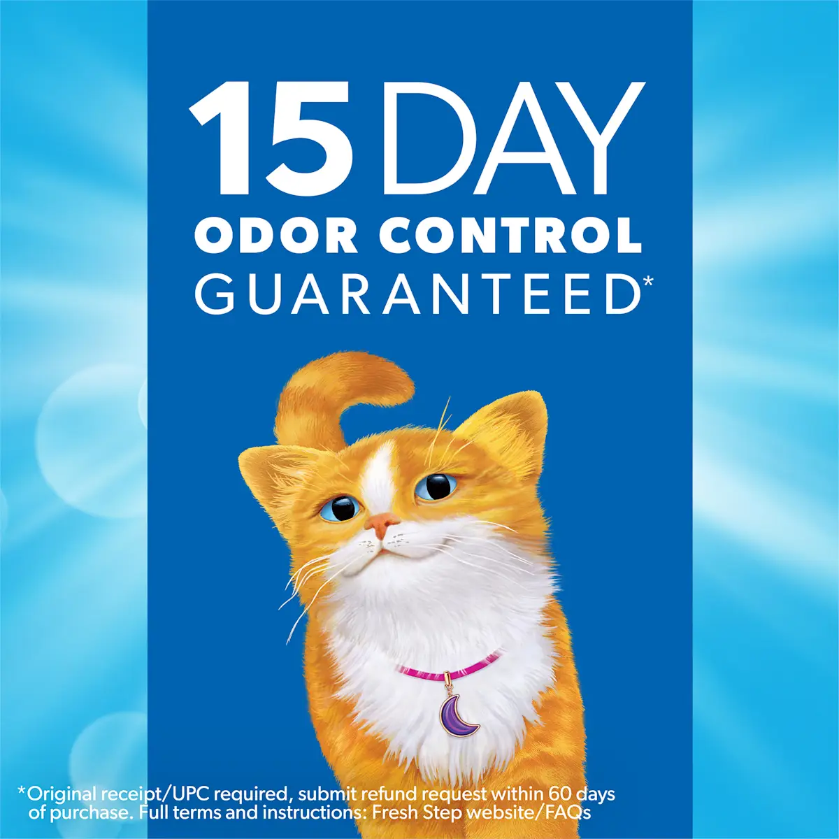 15 day odor control guaranteed, an orange cat