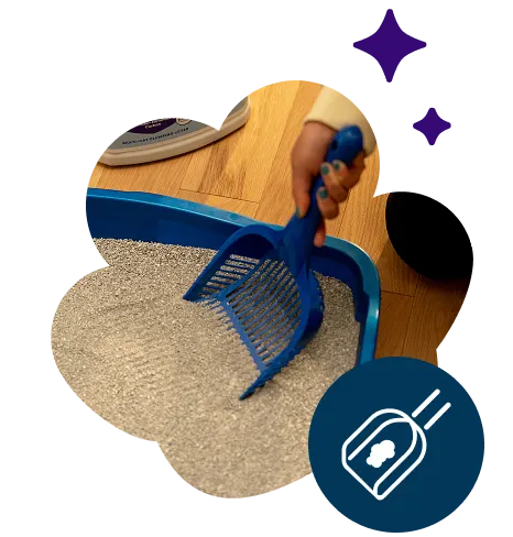 A person scooping litter from a cat box