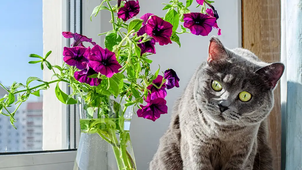 cat next to a vase of flowers
