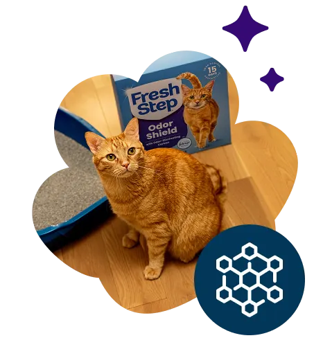 An orange cat sitting next to a litter box and a carton of Fresh Step litter