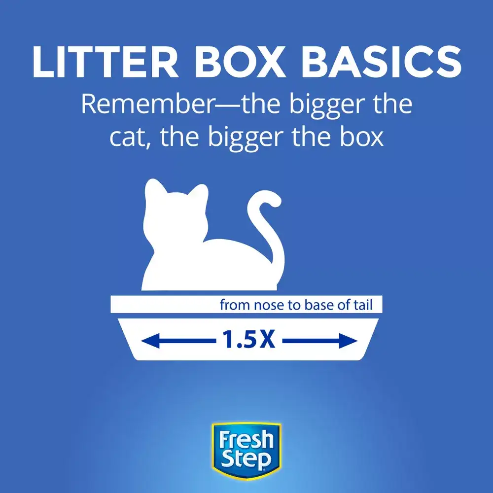 Litter box basics: remember the bigger the cat the bigger the box