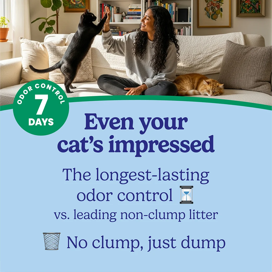 A woman playing with her cat in a a living room. The words "Even your cat's impressed" regarding the the long-lasting odor control