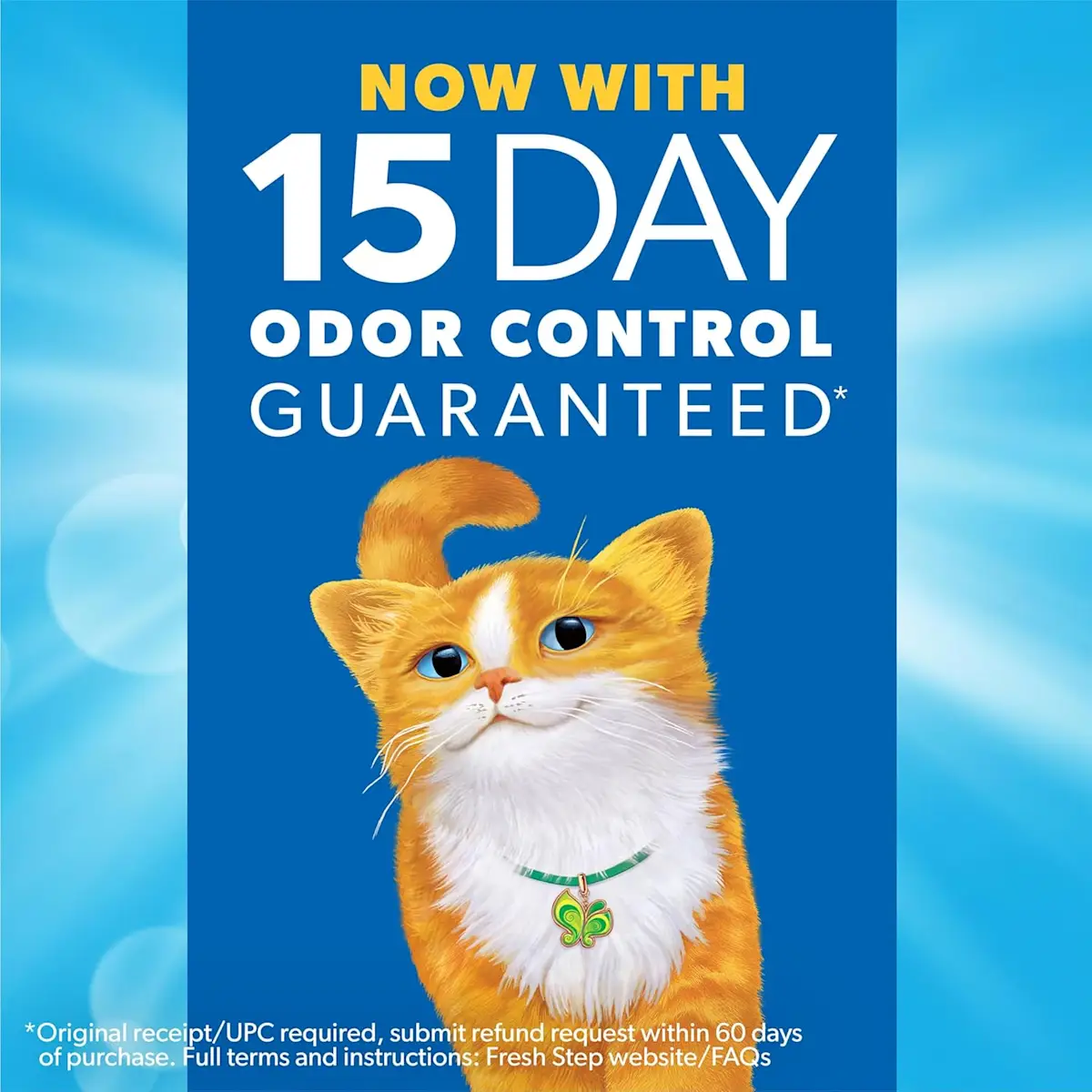 15 day odor control guaranteed, an orange cat