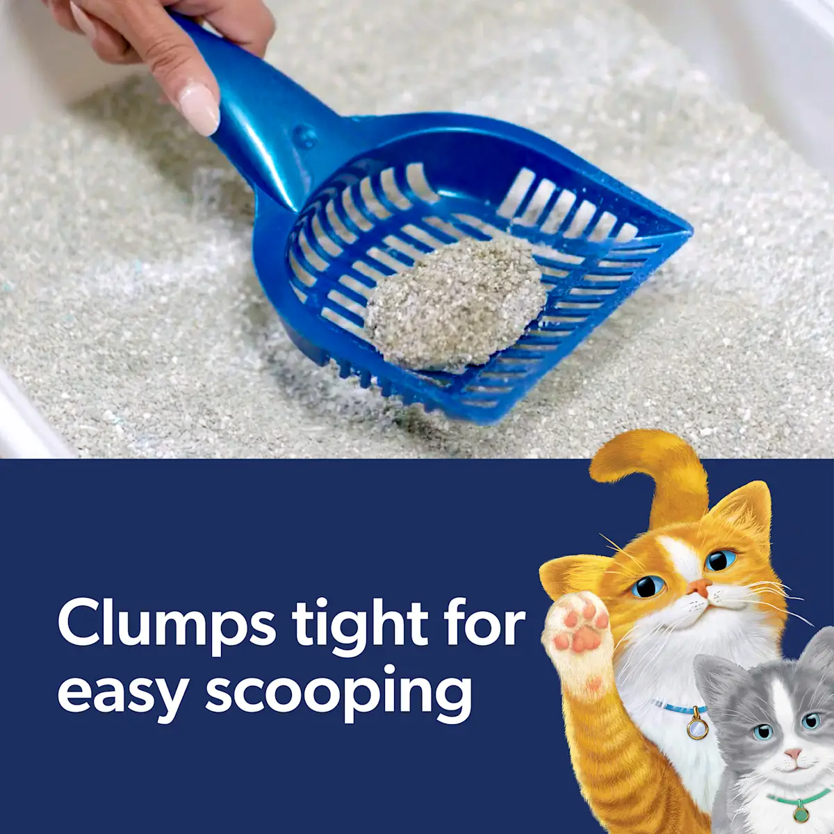 Clumps tight for easy scooping, a litter scooper and two cats