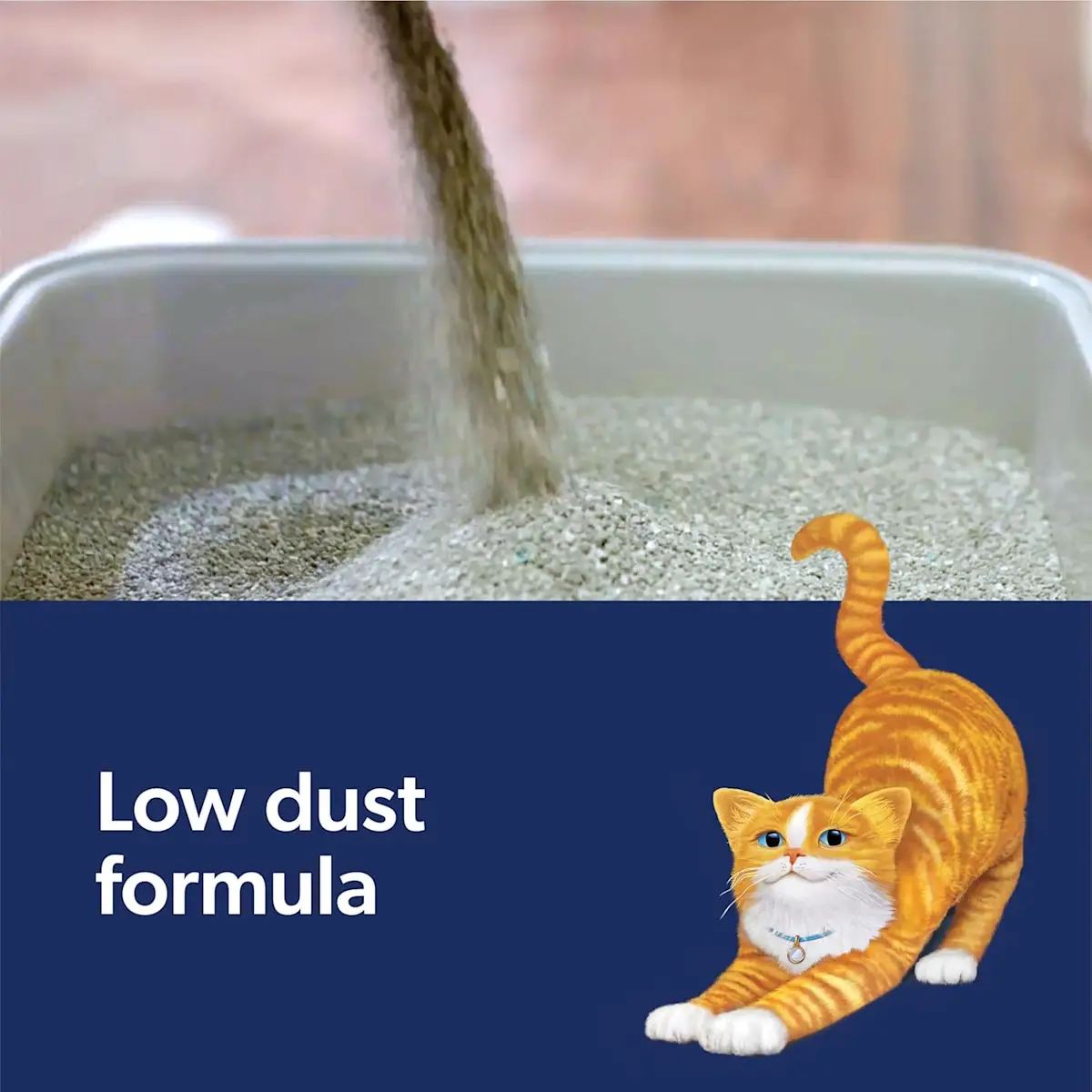 Low dust formula, litter pouring into a litter box and an orange cat stretching