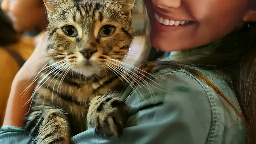 cat in a woman's arms