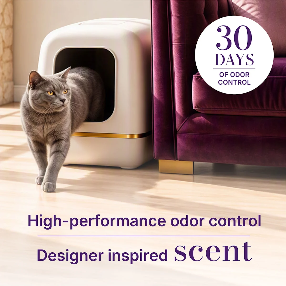 Gray cat walking beside a litter box with 30 days of odor control