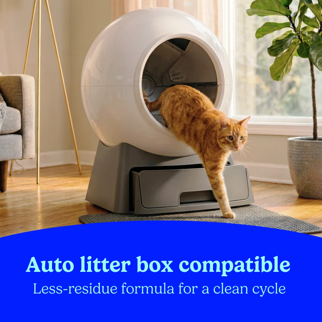 A cat stepping out of an automatic litter box. A blue bar with the words "Auto litter box compatible" in light blue below