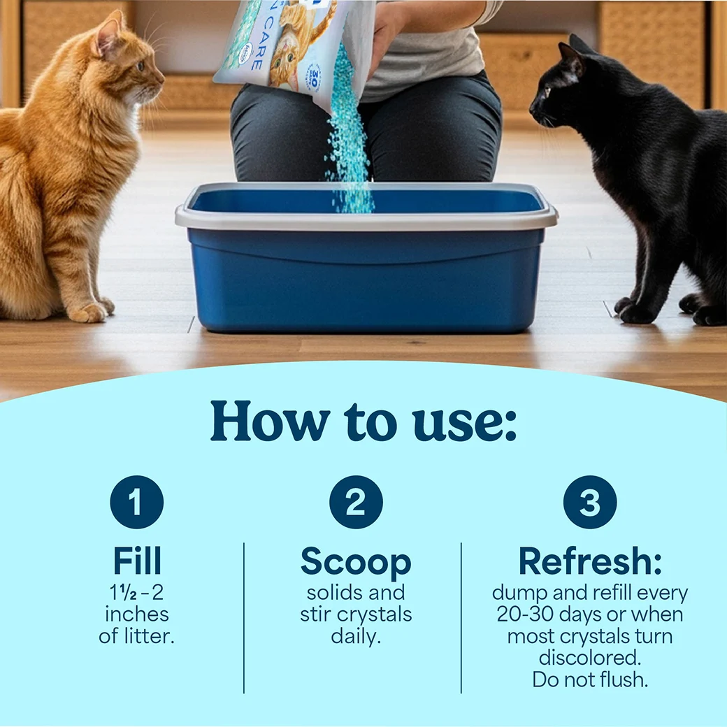 Two cats looking at their owner as crystal litter is poured into a litter box. Instructions for how to use in 3 steps below.