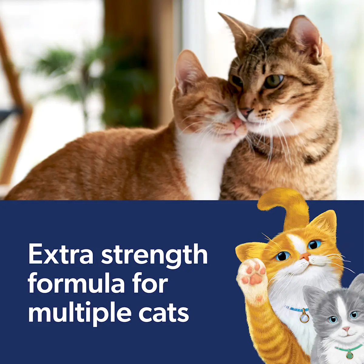 Extra strength formula for multiple cats, two cats nuzzling