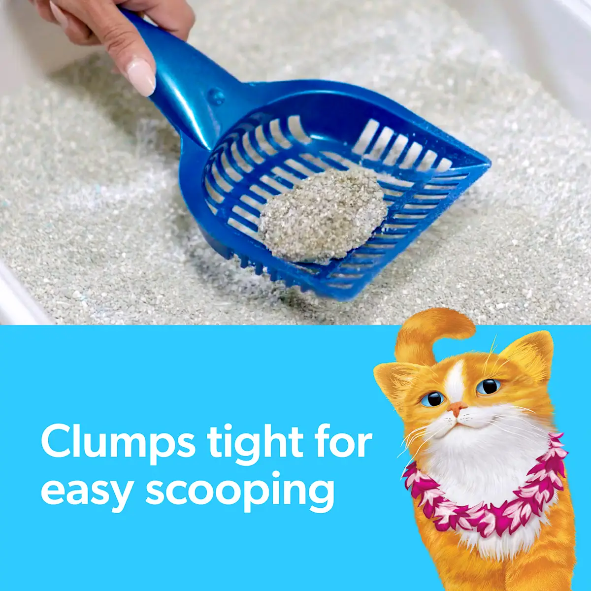 The words Clumps tight for easy scooping, a scooper, and an orange cat with a lei around its neck