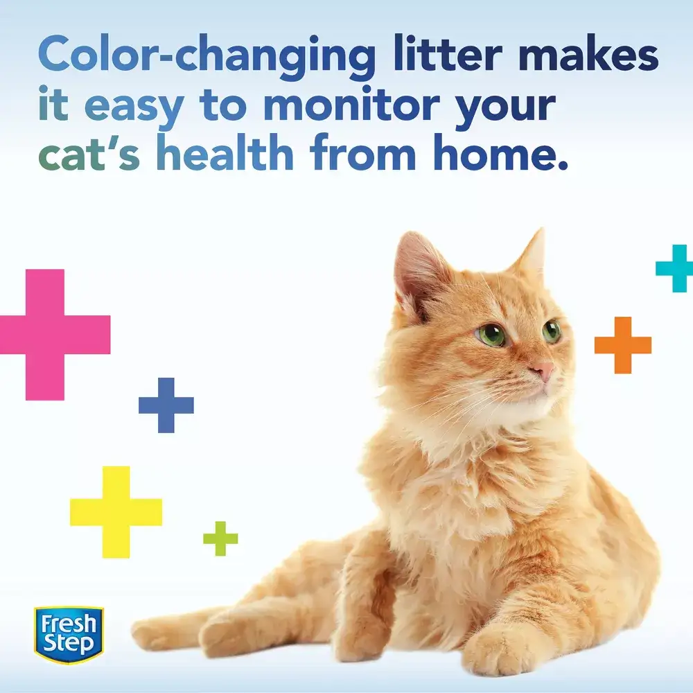Color-changing litter makes it easy to monitor your cat's health from home, an orange cat with colored crosses floating around