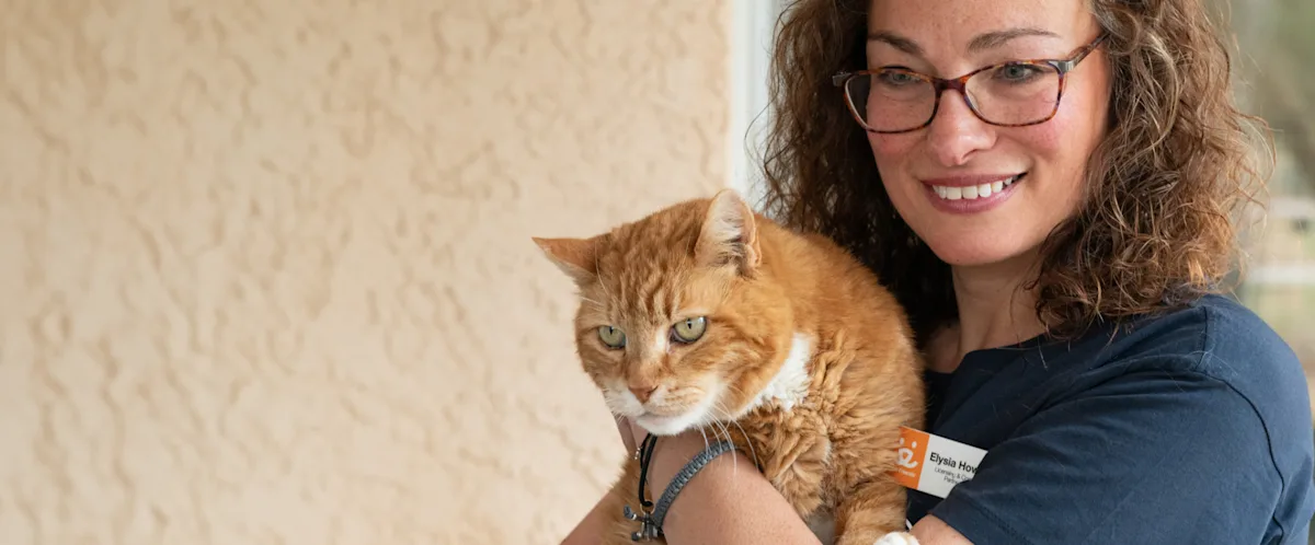 Woman from Best Friends Animal Society holding an orange cat