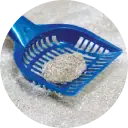 A blue scooper with cat feces in it