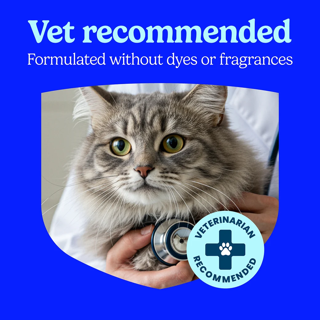A cat being held by a vet with a stethoscope, the words "Vet recommended" on top