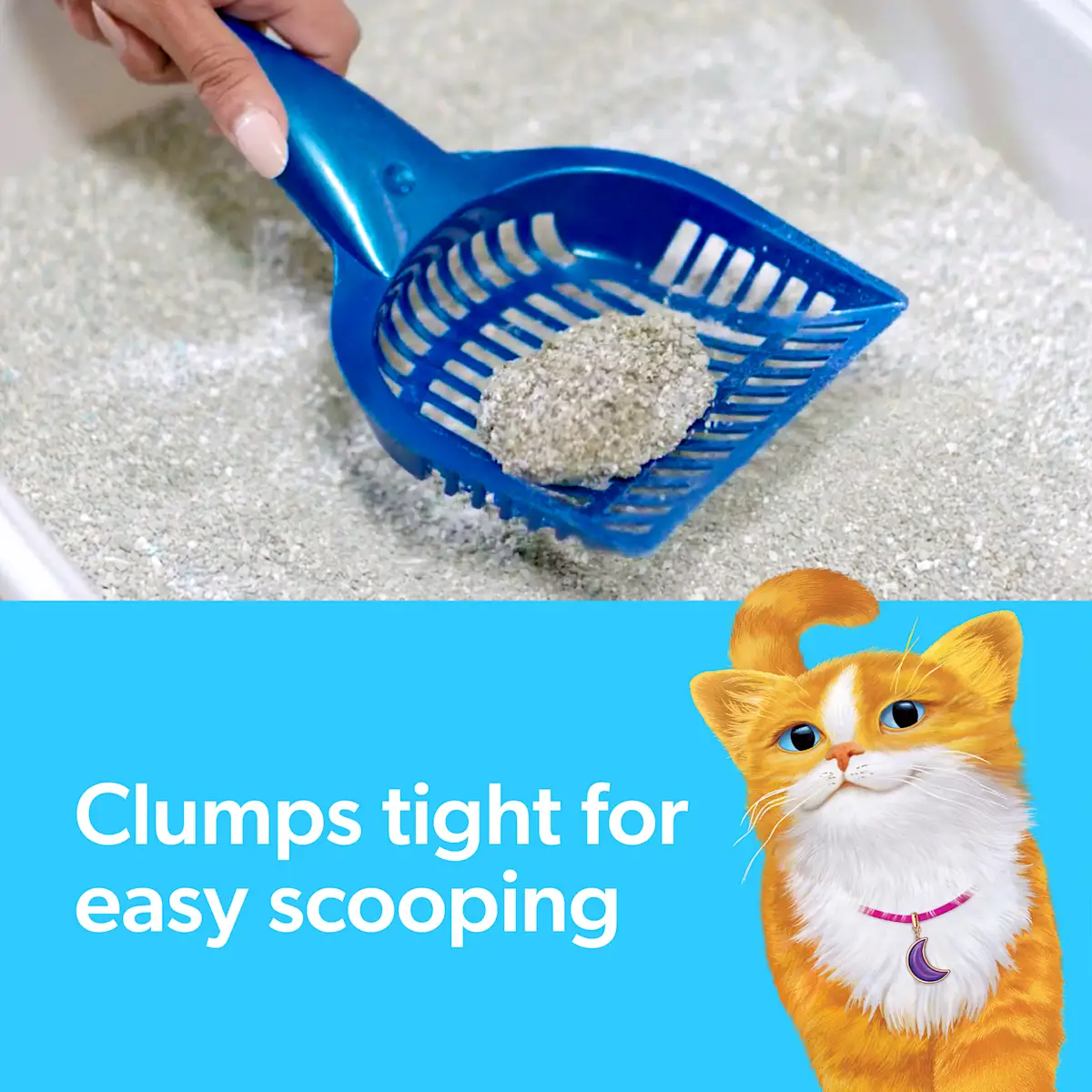 Clumps tight for easy scooping, a litter scooper and an orange cat