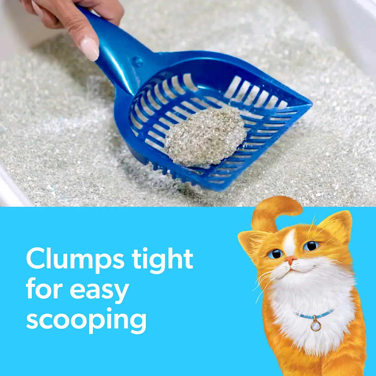 Clumps tight for easy scooping, a litter scooper and an orange cat