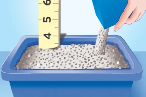 Litter box filling to 3-4 inches deep