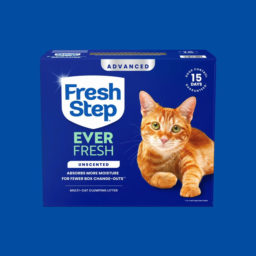 A box of Fresh Step Ever Fresh Advanced Unscented cat litter on a blue background
