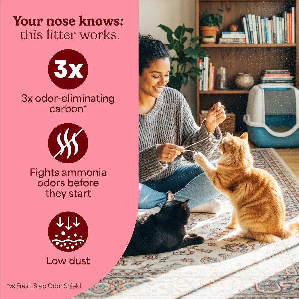 A woman playing with her cat. A pink panel on the right side with claims: 3x odor-eliminating carbon, fights ammonia odors, low dust