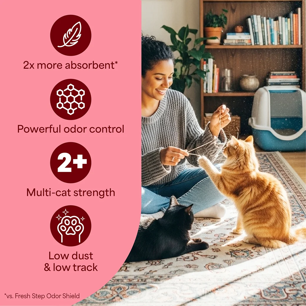 A woman playing with her cat. A pink panel on the right side with claims: 2x more absorbent powerful odor control, multi-cat strength, low dust