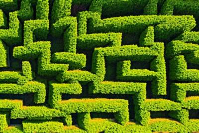 Hedge maze insurance confusion metaphor