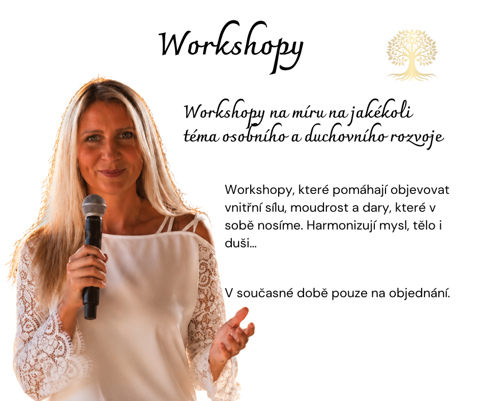workshopy