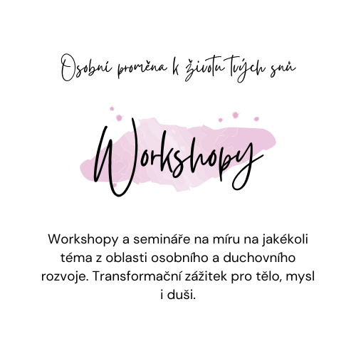 workshopy