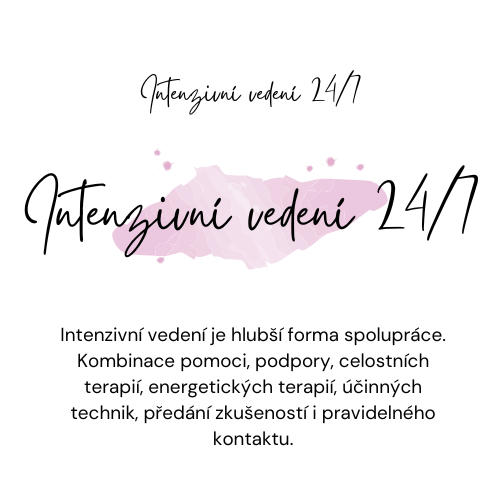 Intenzivní vedení 24/7