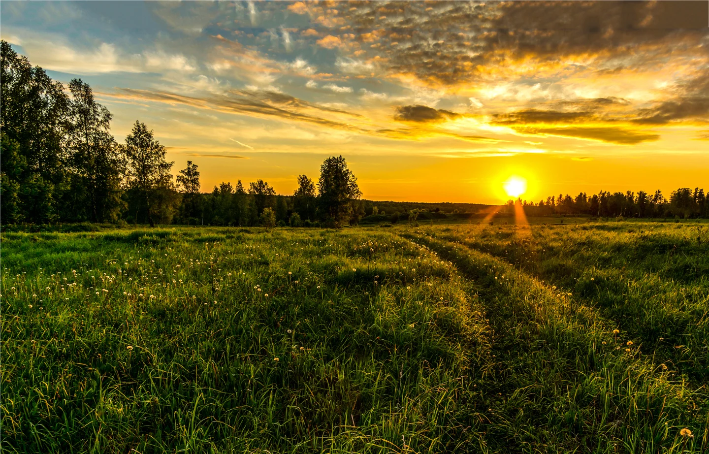 empty-field-at-the-sunset-picture-id689762756