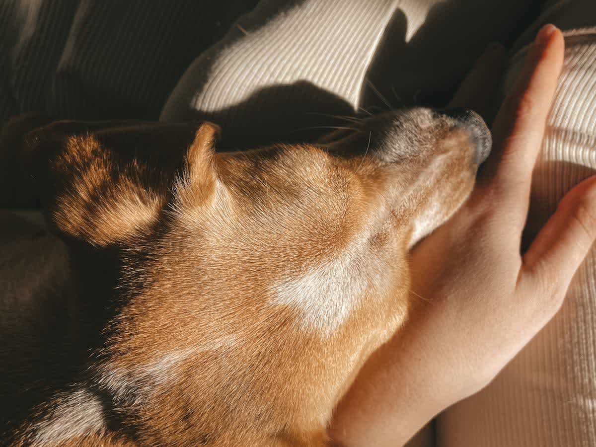 Featured image of Better to Have Stayed Than Left and Returned