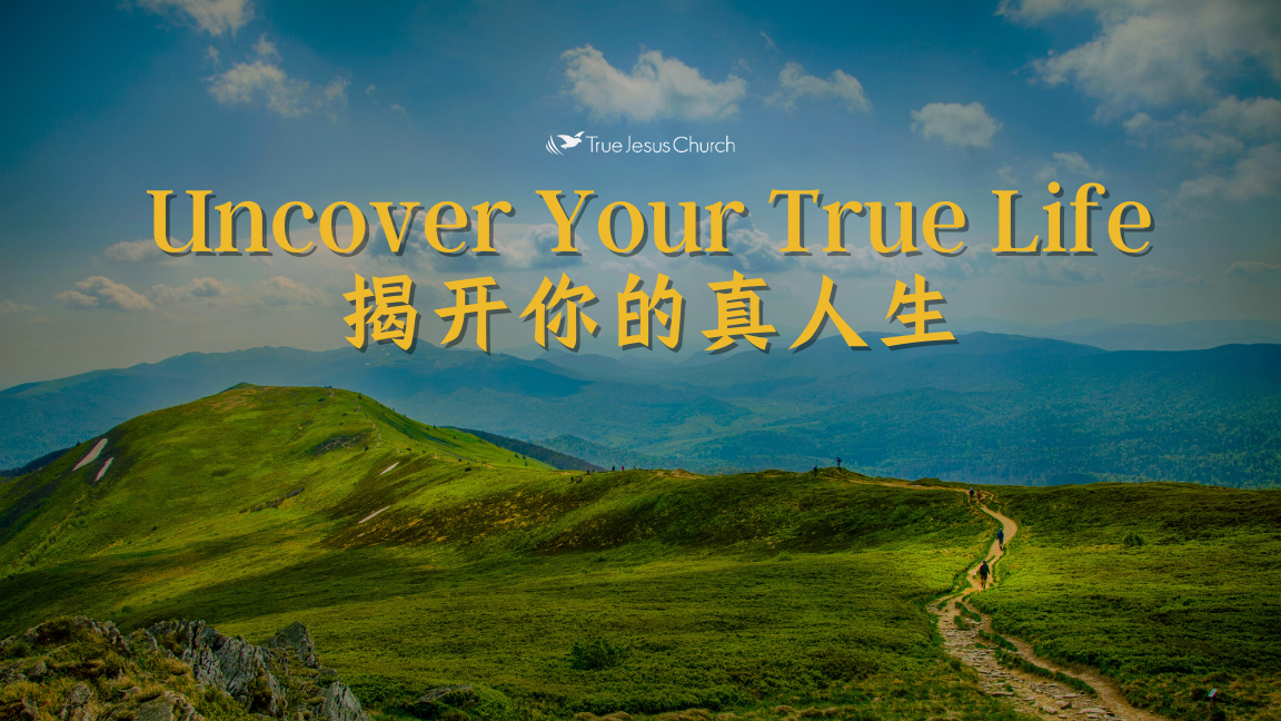 Uncover Your True Life