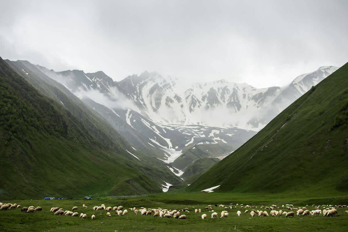 Featured image of Joel Chapter 3 - Judgment in the Valley, Shelter in the Mountain