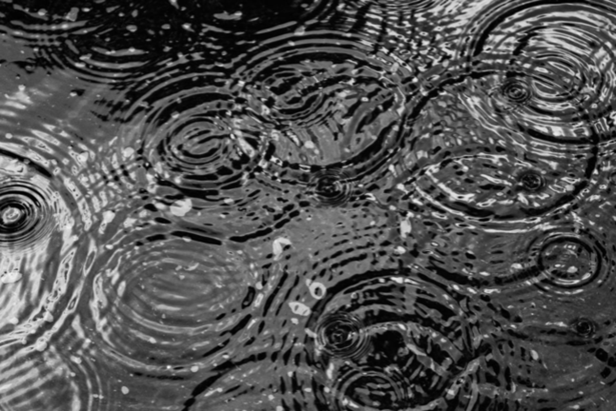 Featured image of Judges Chapter 5 - The Victor's Song