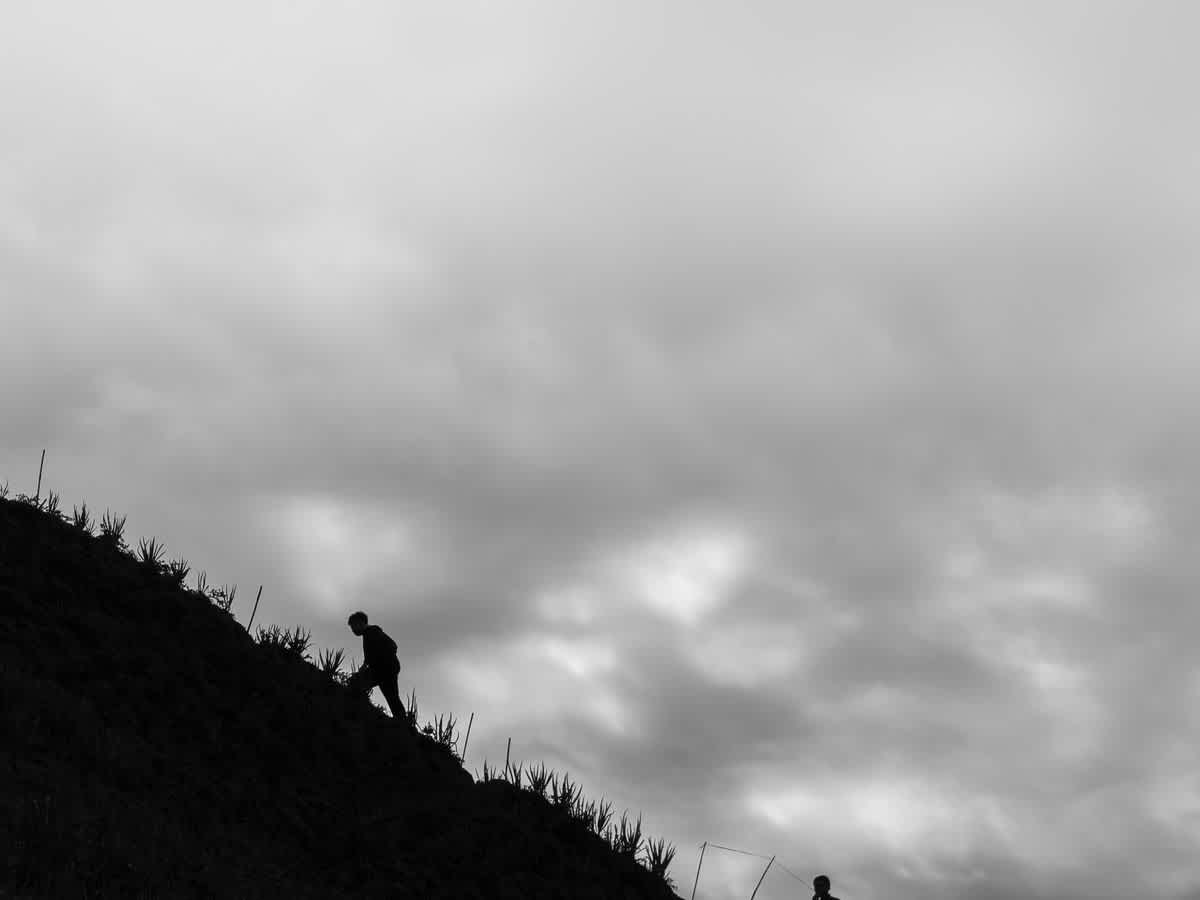Featured image of Rising to the Bottom