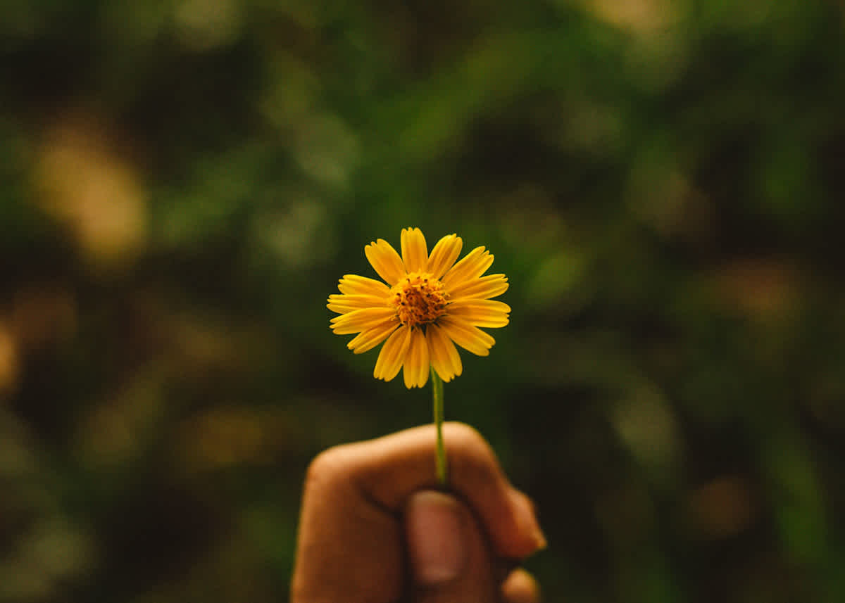 Featured image of What’s Your Love Language?