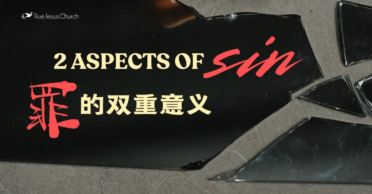 2 Aspects of Sin