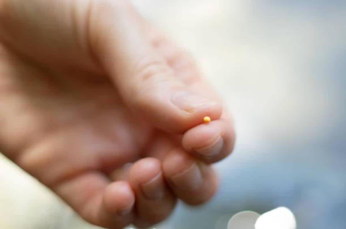 Featured image of Luke Chapter 17 - How to Have More Faith