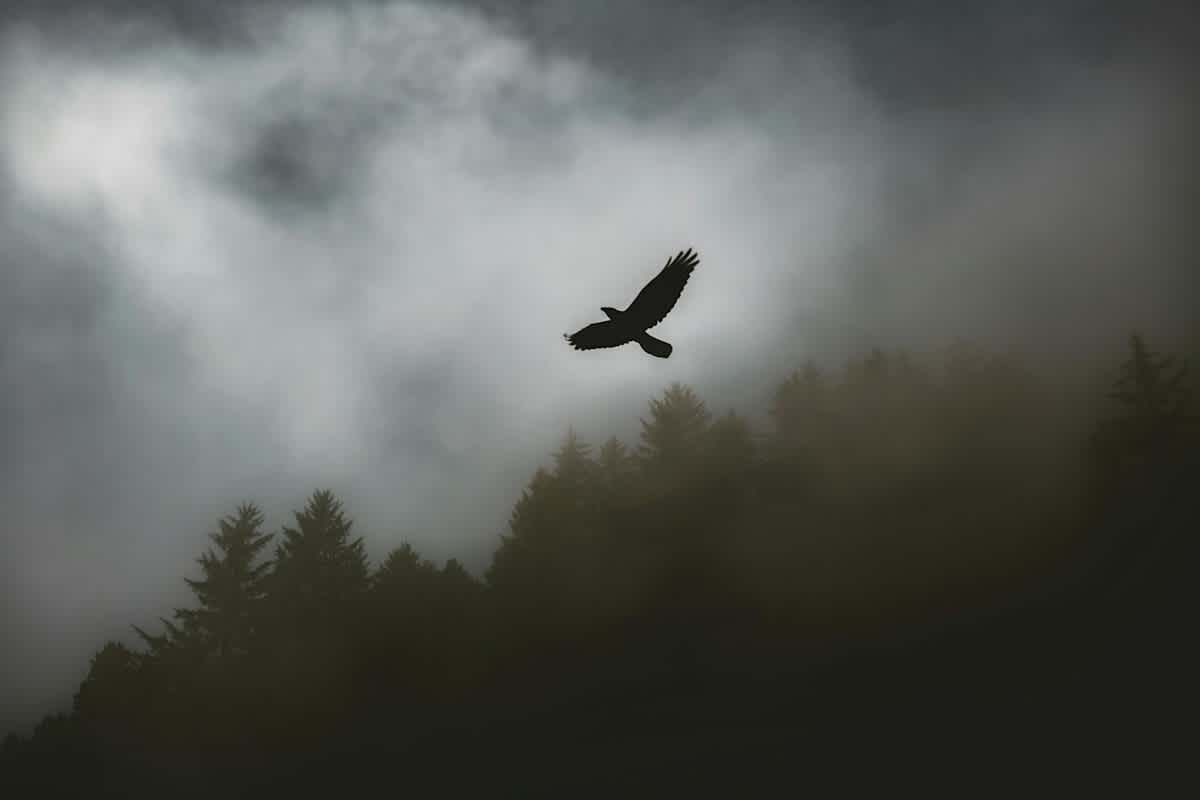 Featured image of Galatians Chapter 5 - To be Free  