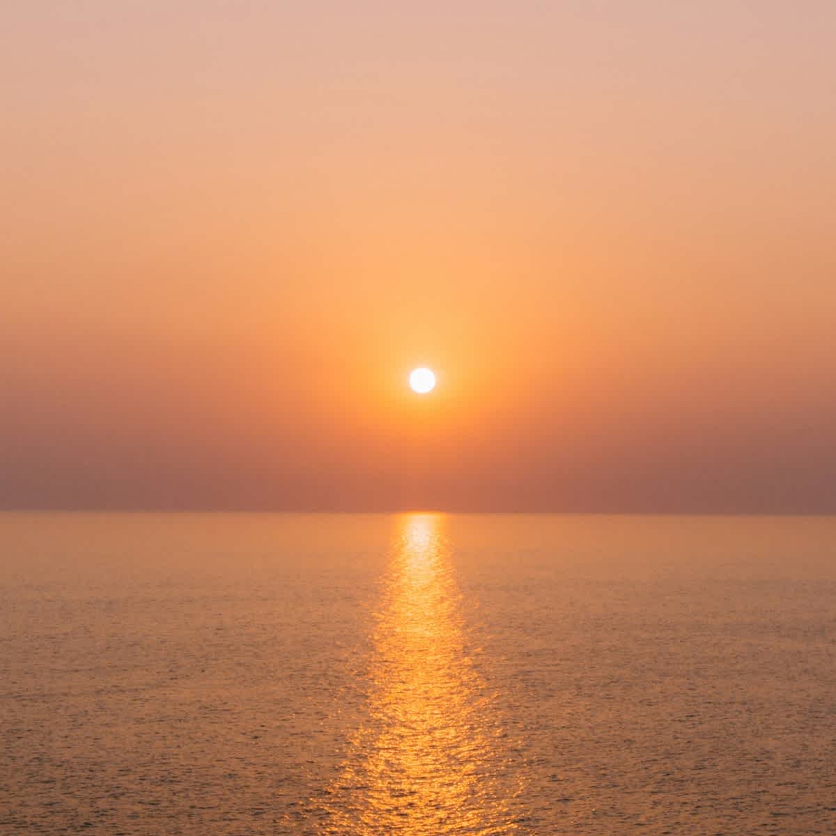 Featured image of Too Good to Miss