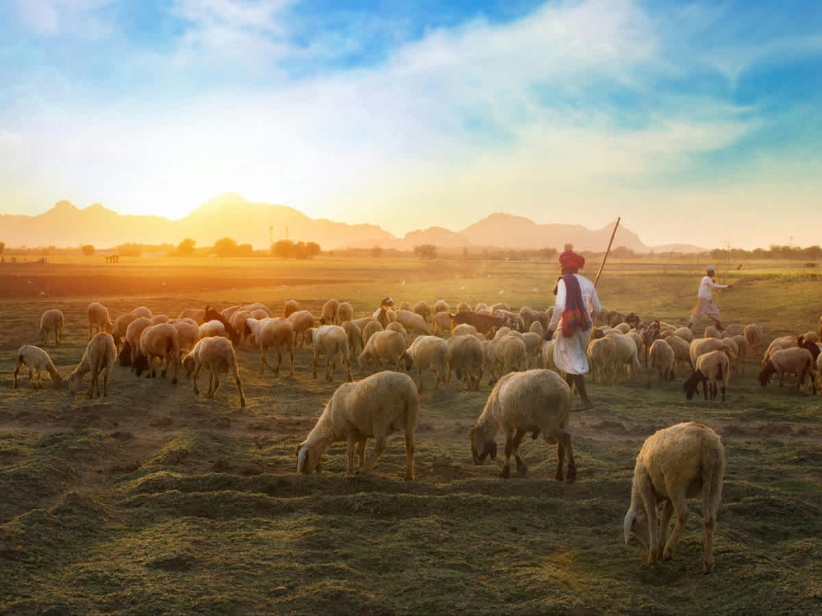 Featured image of 弥迦书 第三章（英文）