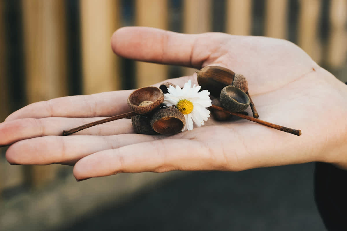 Featured image of Colossians Chapter 3 - A Life Hidden With Christ 