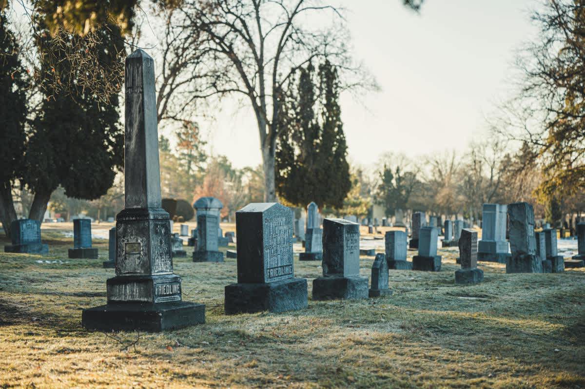 Featured image of Hosea Chapter 7 - How Will You Be Remembered?