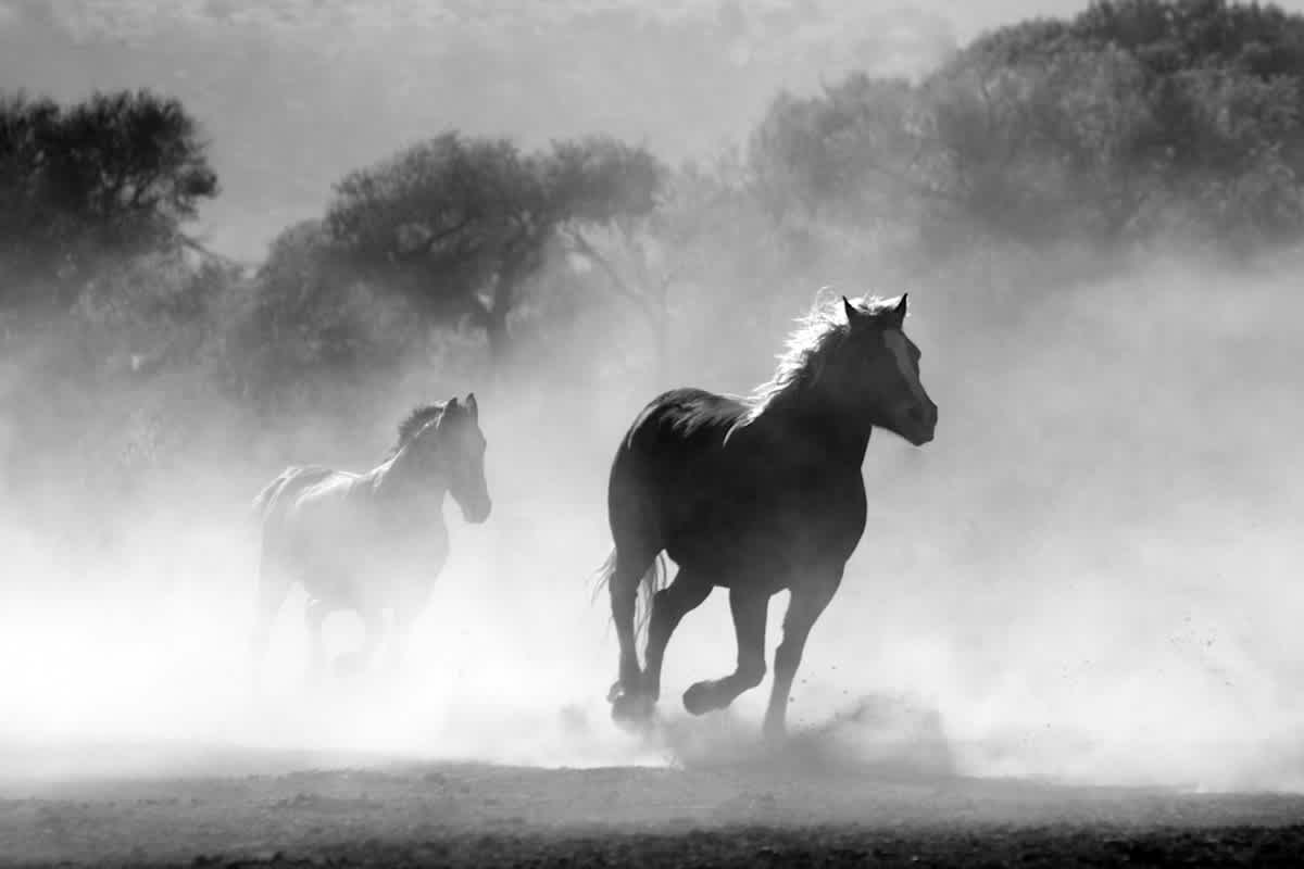 Featured image of Zechariah Chapter 1 - Return, See God's Zeal And Power For His People