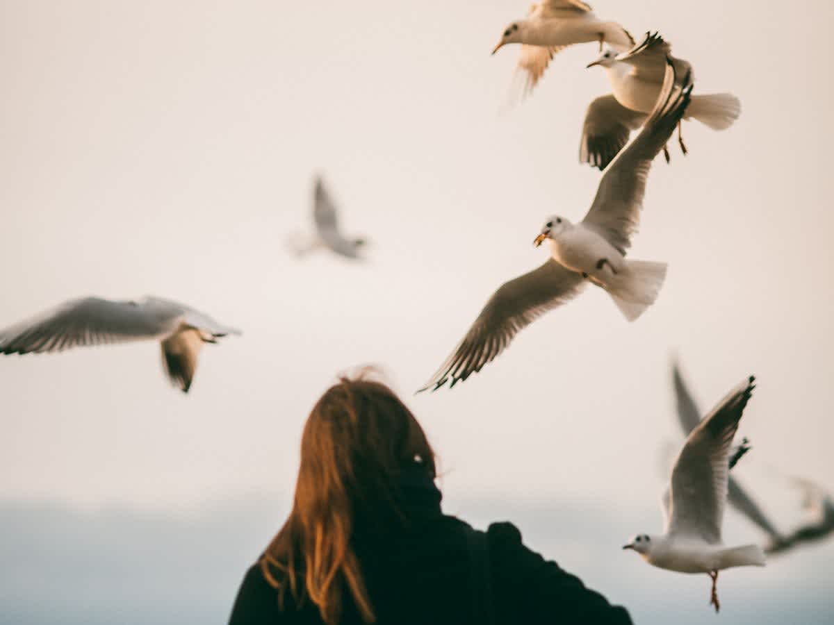 Featured image of Luke Chapter 20 - Consider Your Purpose of Seeking God