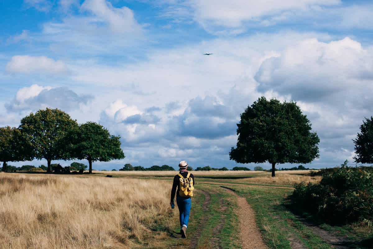 Featured image of To Walk the Last Mile